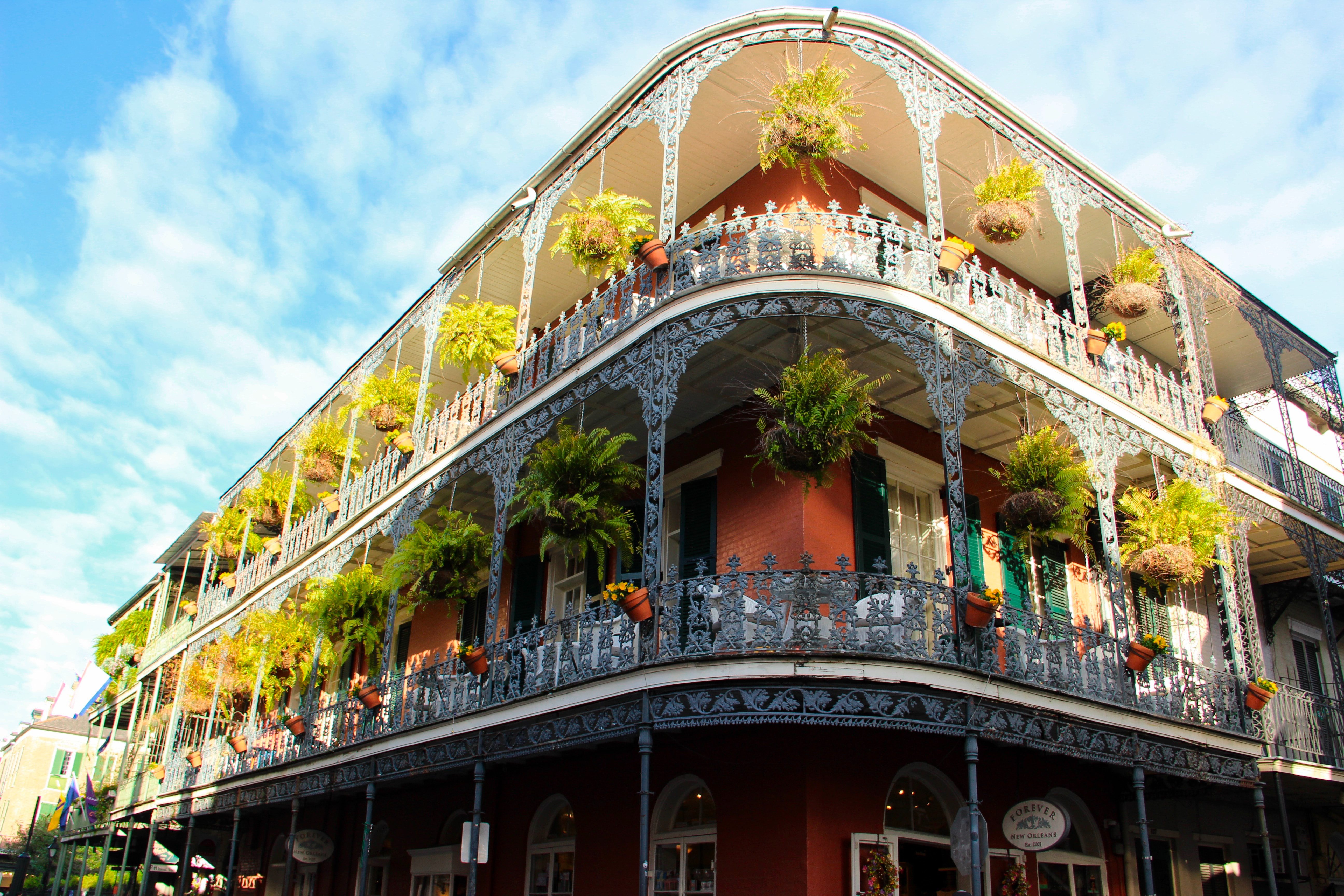 What to do in New Orleans in January