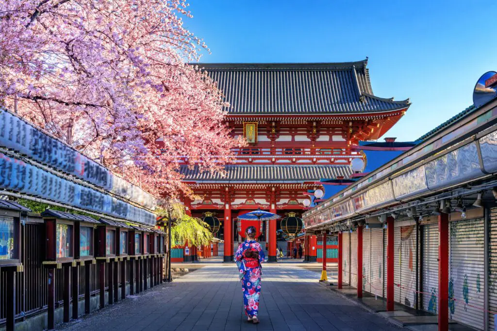 Best Things to Do in Tokyo Japan