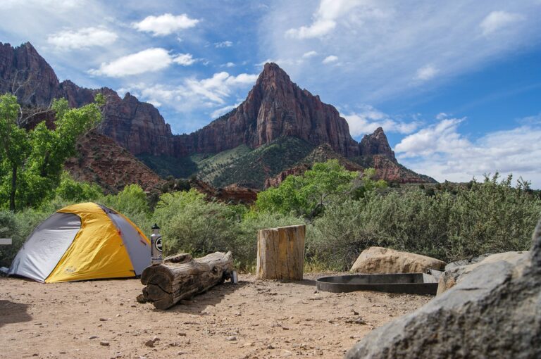 Free Camping Near Zion National Park: Tent/RV/Cabin (2024)